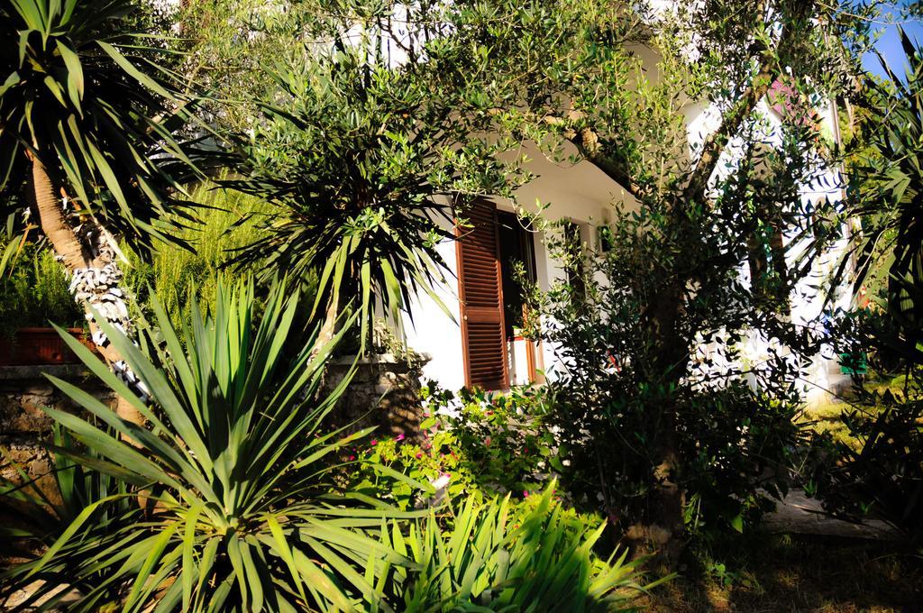 Apartments Adrialuka Dubrava  Dış mekan fotoğraf