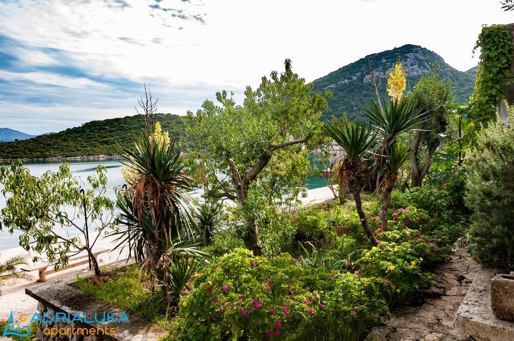 Apartments Adrialuka Dubrava  Dış mekan fotoğraf